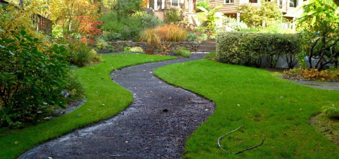 chemin
