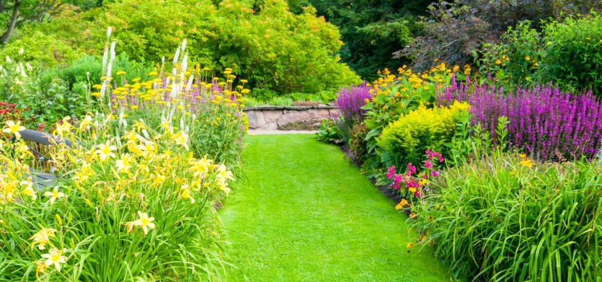 secrets pour un gazon naturel éclatant