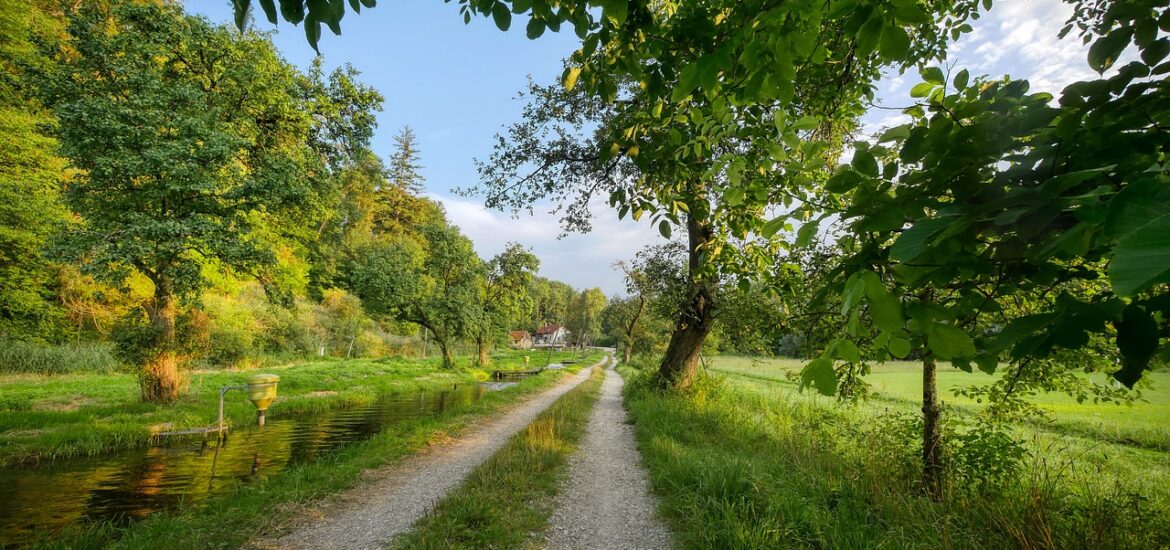 chemins de gravier