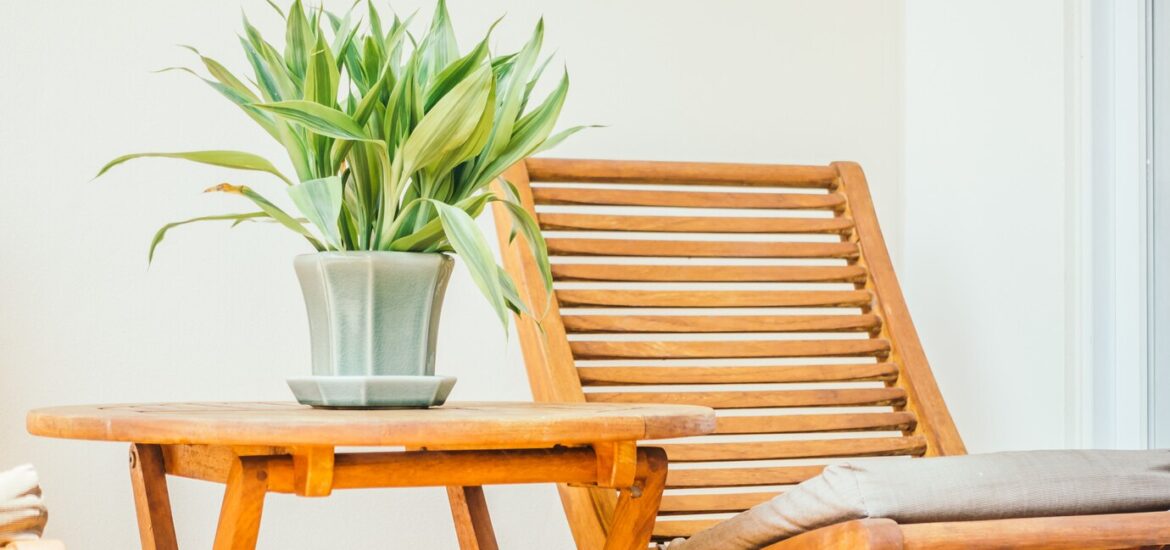 5 plantes idéales pour une terrasse intérieure