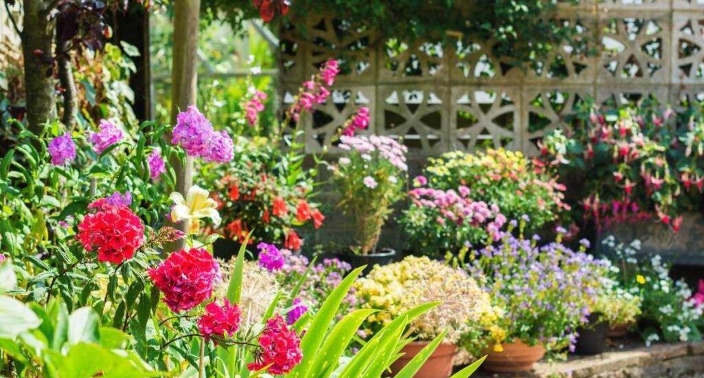création de votre jardin