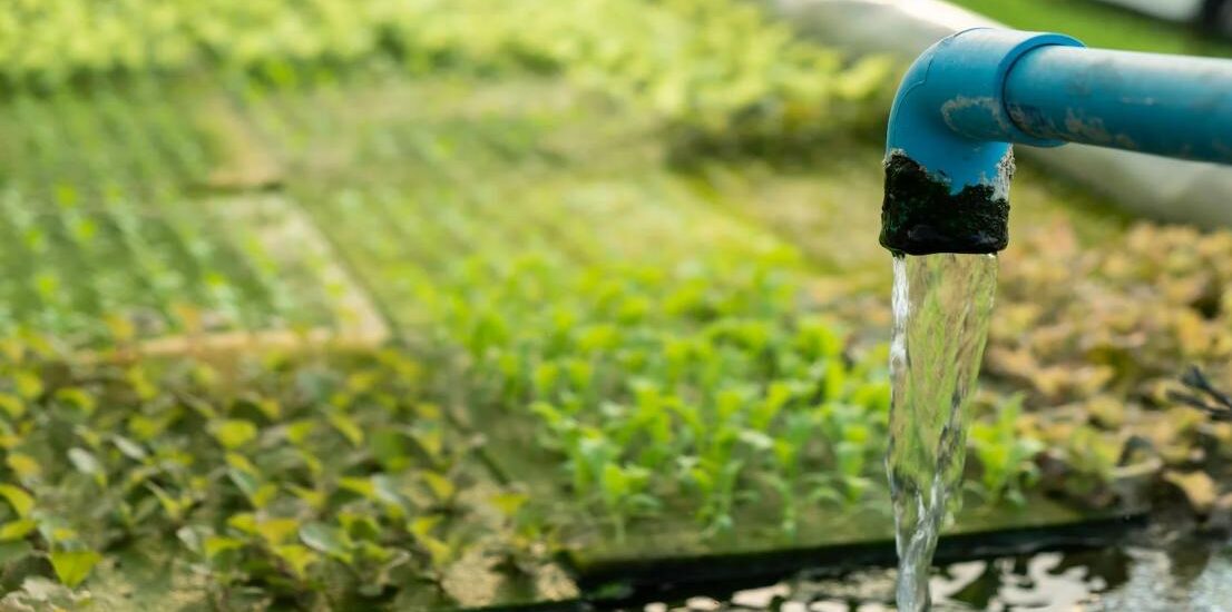 Quel système de drainage choisir pour un jardin durable ?