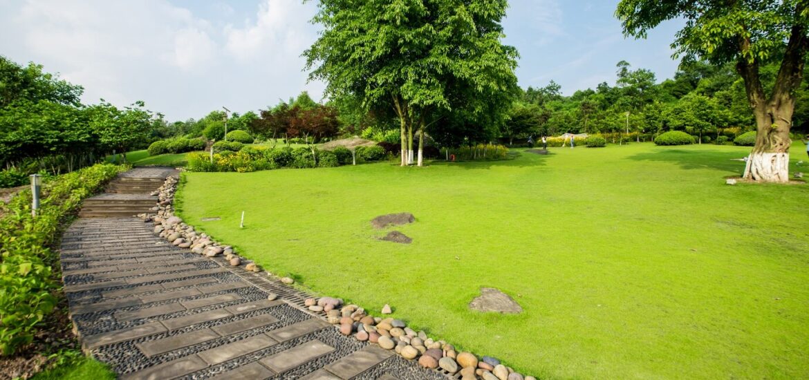 Quels sont les principes de base d'un jardin minimaliste ?