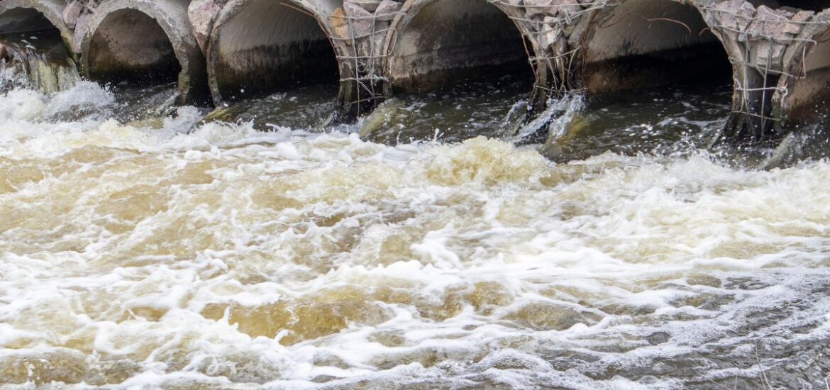 1-Comment fonctionne le traitement des eaux usées par lagunage