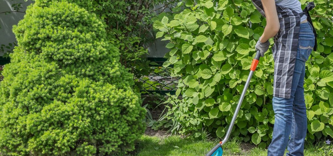 1-Les avantages d'un nettoyage immédiat après élagage