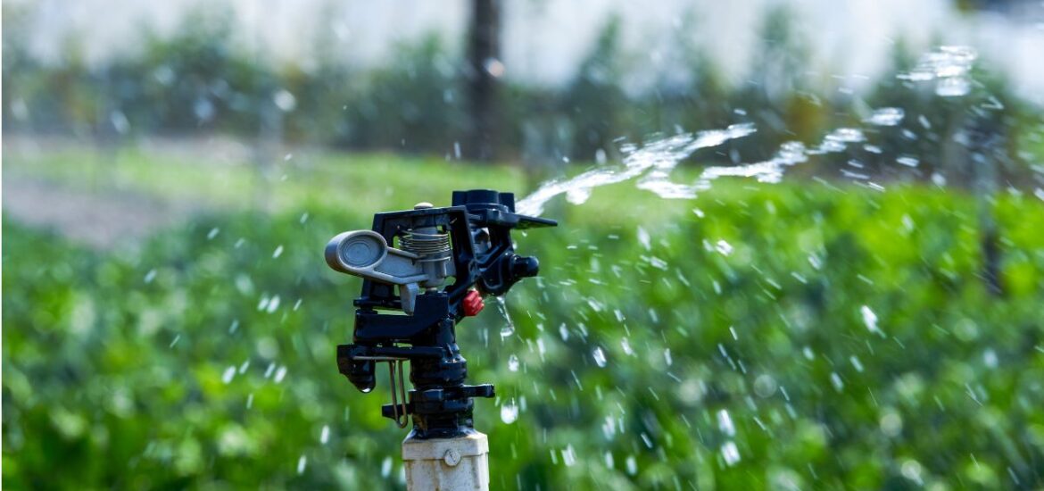 1-Optimisez l’irrigation de votre jardin avec un arrosage automatique intelligent