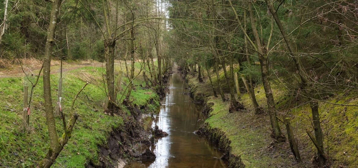 découvrez les bienfaits du drainage pour votre santé et votre bien-être. apprenez comment cette méthode peut améliorer votre circulation, éliminer les toxines et favoriser une meilleure qualité de vie. explorez nos conseils et techniques pour une pratique efficace et adaptée à vos besoins.